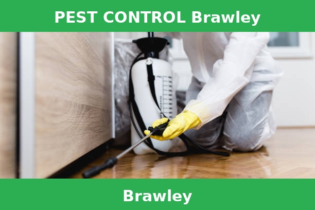 PEST CONTROL Brawley